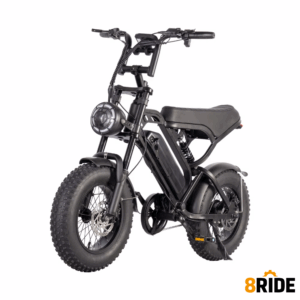 V20 Mini E-bike 16" – Compact, Snel & Praktisch zwart