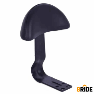 Rugleuning – Voor E-bike / Fatbike